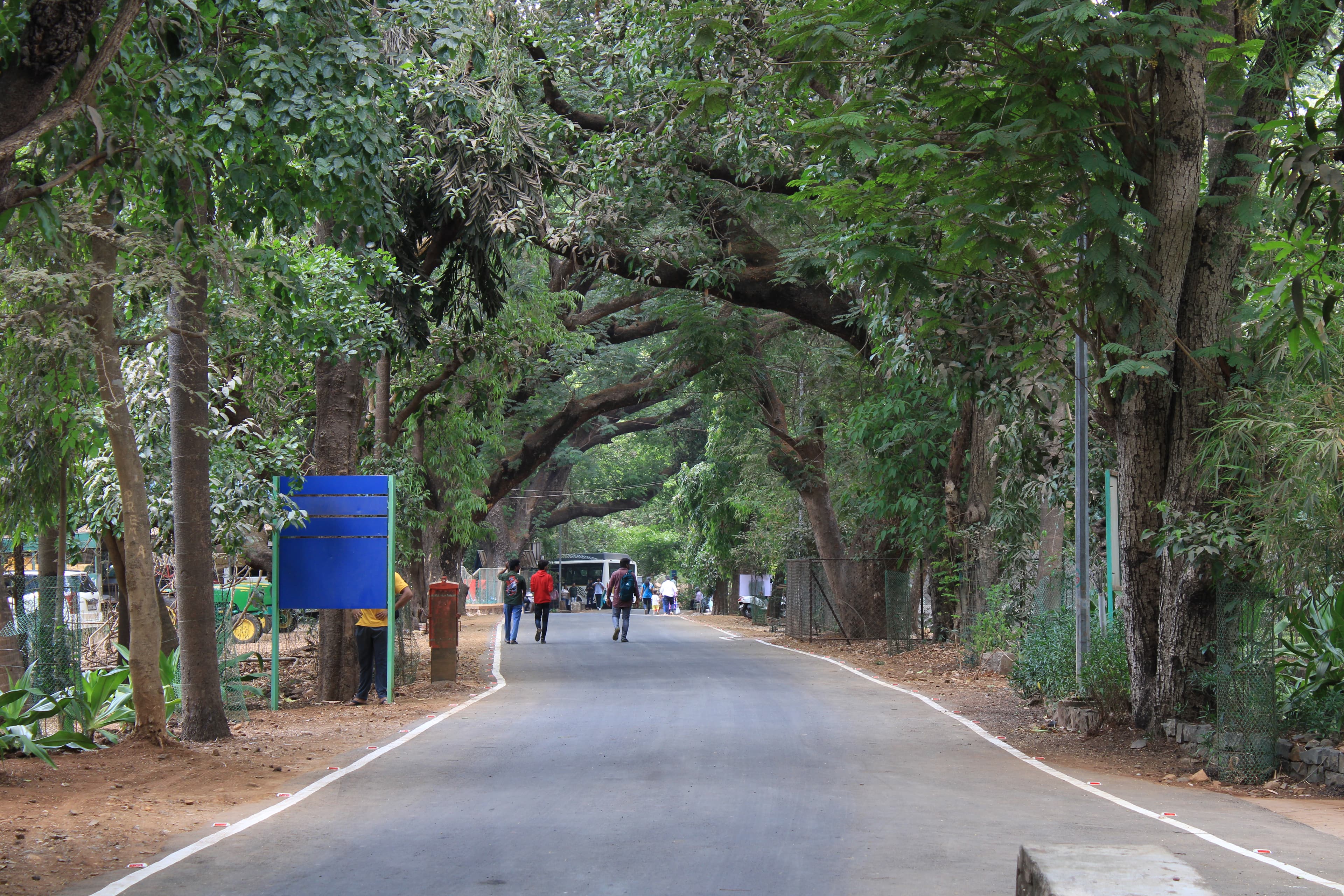 Sanjay Gandhi National Park
